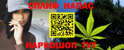 каннабис Будённовск