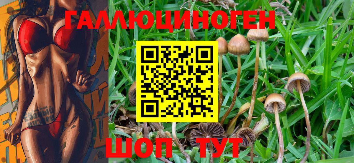 Псилоцибиновые грибы Magic Shrooms Армавир