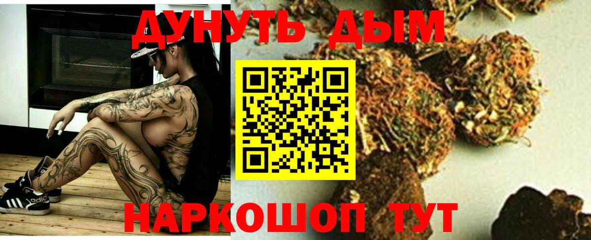 Канабис сатива Армавир